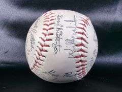 Stamped Multiple Signatures Baseball