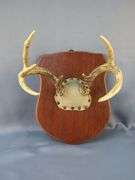 Deer Antler Mounts
