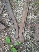 Antique Style Ox Yoke Pair