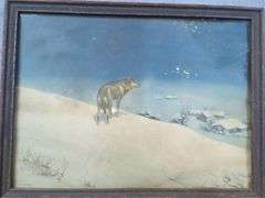 Framed Lone Wolf Print
