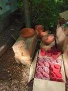 Terra Cotta and Plastic Plant Pots