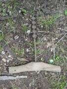 Antique Hand Augers, Qty 2
