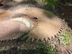 Circular Saw Blades - Salvage or Reuse
