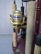 Fishing Rod and Reel Collection with Display Stand