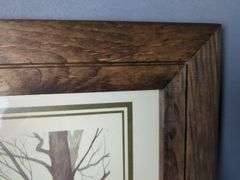 F. Massa Framed Watercolor Prints
