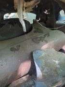 1930s/40s Ford Coupe Project Car, For Restoration, No Title, FRIDAY PICK UP