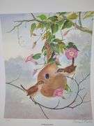 Bernard Martin Signed Bird Prints