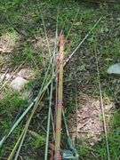 Fishing Rods and Reels