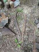 Antique Style Ox Yoke Pair