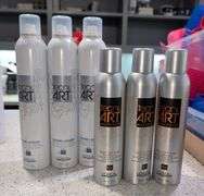 ROCA Beauty Salon Liquidation Auction - Kansas City