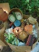 Various Flower Pots and Decorative Baskets