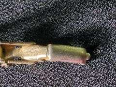 Gold-Tone Ladies Bulova Wrist Watch with Decorative Band