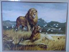 Framed T.C. Chiu Lion Print