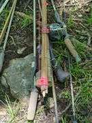 Fishing Rods and Reels