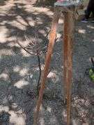 Metal Plant Stands, Qty 2 And Wooden Tripod