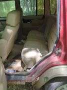 1993 Jeep Cherokee Sport Utility Vehicle, VIN 1J4FJ78S5PL502124, Mileage Unknown, Missouri Title, FRIDAY Pick Up