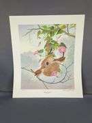 Bernard Martin Signed Bird Prints