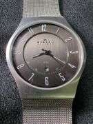 Skagen Mens Steel and Titanium Wristwatches