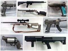 Dog Days Of Summer Firearm And Sportsman Auction