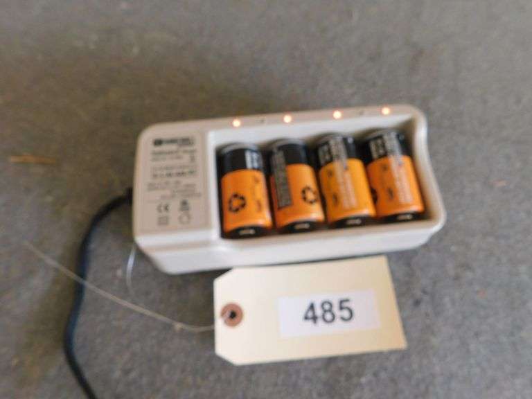 Rechargeable D batteries & Charger