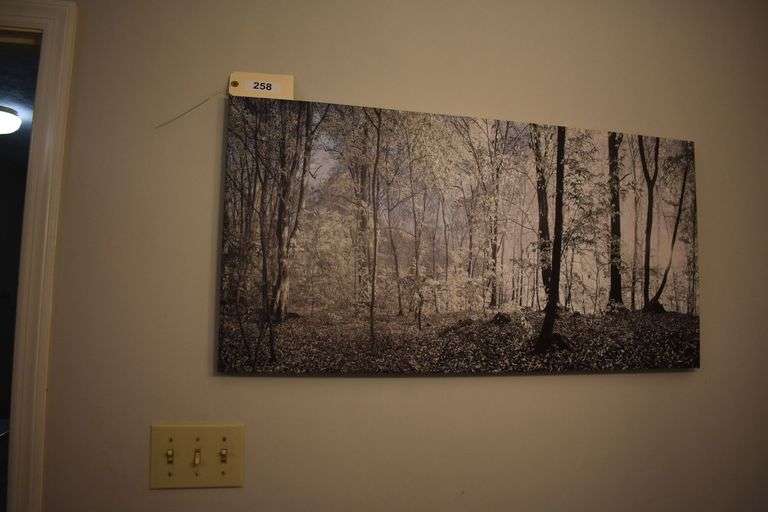 2 forrest prints on canvas  picture 1 39 x 19  picture 2 46 x 33