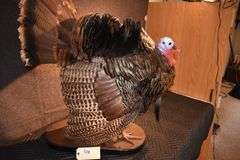 Turkey mount
