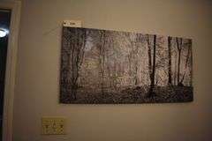 2 forrest prints on canvas  picture 1 39 x 19  picture 2 46 x 33