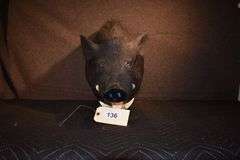 Boar's head (2 pictures)