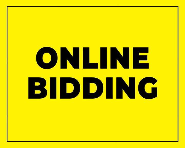 ONLINE BIDDING image