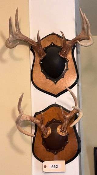 Two Mounted Deer Antlers image