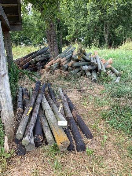 Wooden Fence Posts, Approx 50 Pieces image