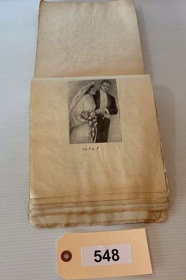 Very Old Pictorial Girl's Diary From Birth To Adulthood image