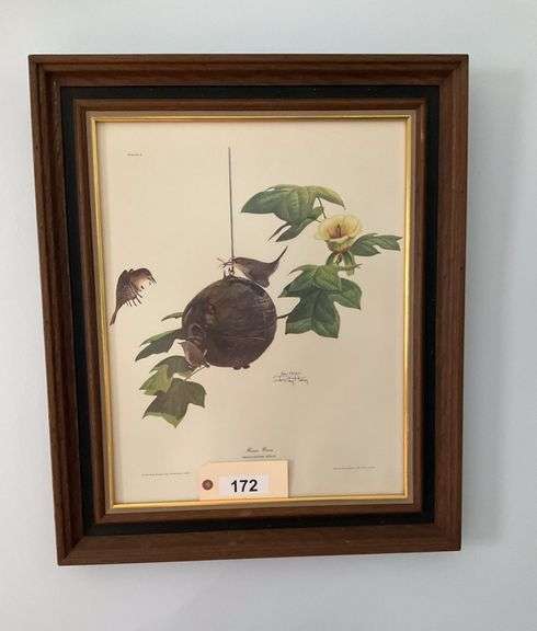 Framed 'House Wren' Print By Ray Harm, 25"X21" image