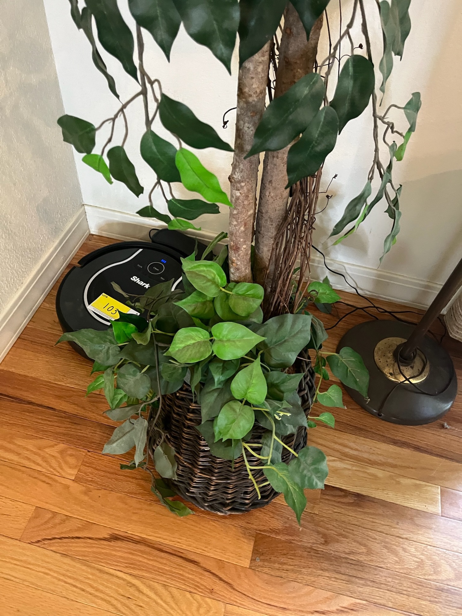 Lot image 8