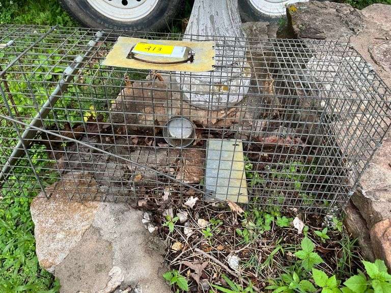 Concrete Bird Bath & Animal Trap