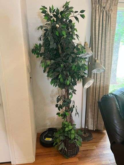 Shark Vacuum, Silk Plant, Mid-Century Lamp