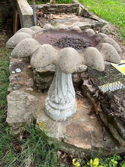 Concrete Bird Bath & Animal Trap