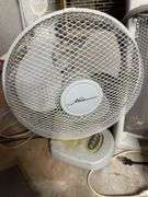 Basement Startup Kit- Heaters, Fans & Dehumidifiers Galore!
