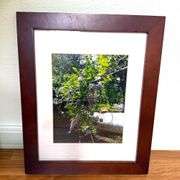 Frames- Vintage Wall Decor Lot