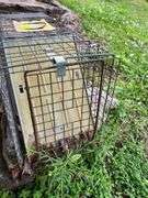 Concrete Bird Bath & Animal Trap