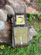 Concrete Bird Bath & Animal Trap
