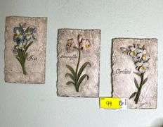 Iris, Amarillis & Orchid Wall Decor & Towels