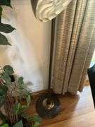 Shark Vacuum, Silk Plant, Mid-Century Lamp