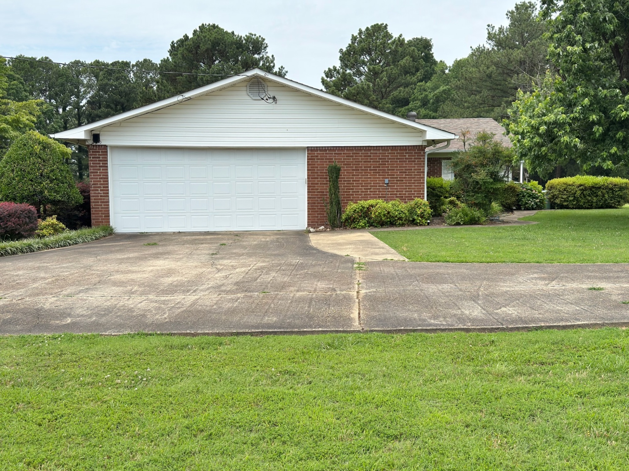 Lot image 19