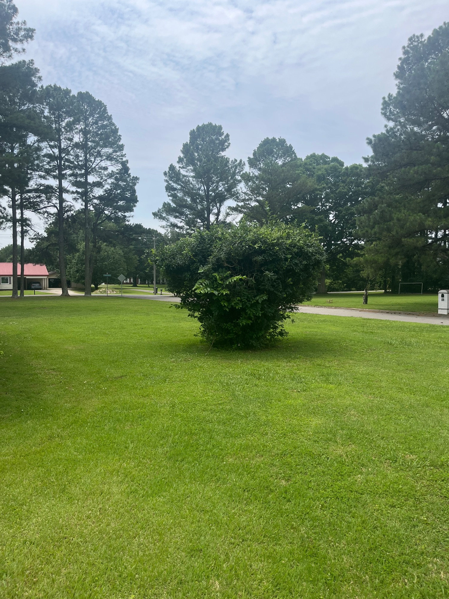 Lot image 75