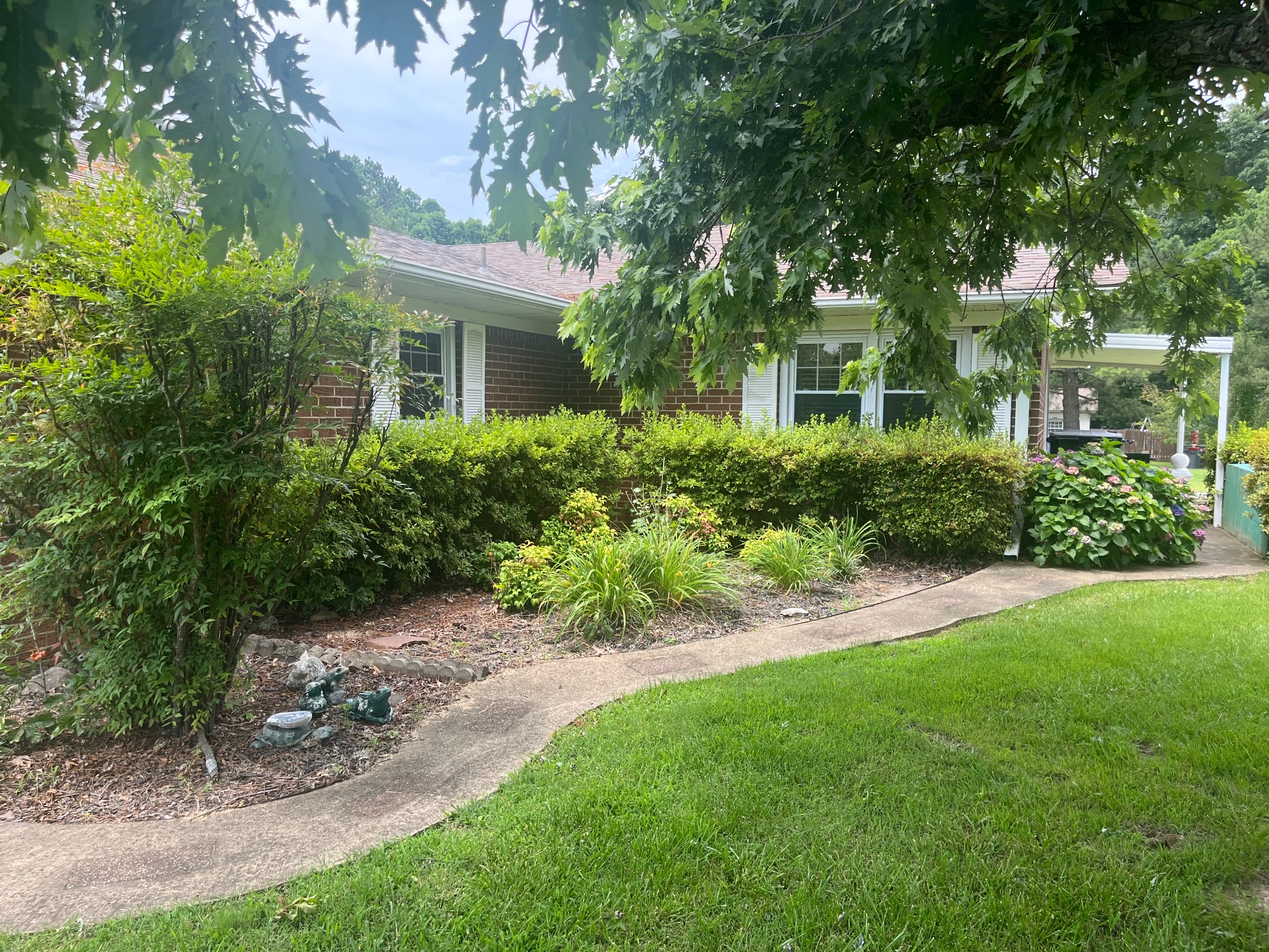 Lot image 64