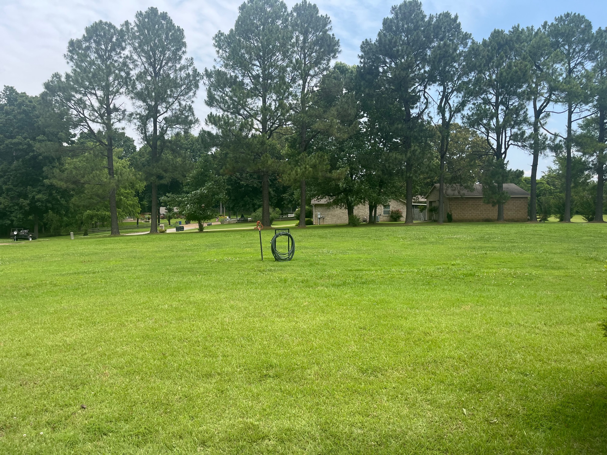 Lot image 67
