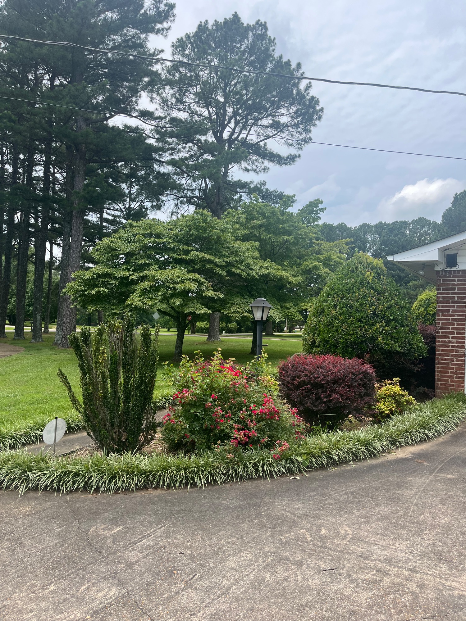 Lot image 62