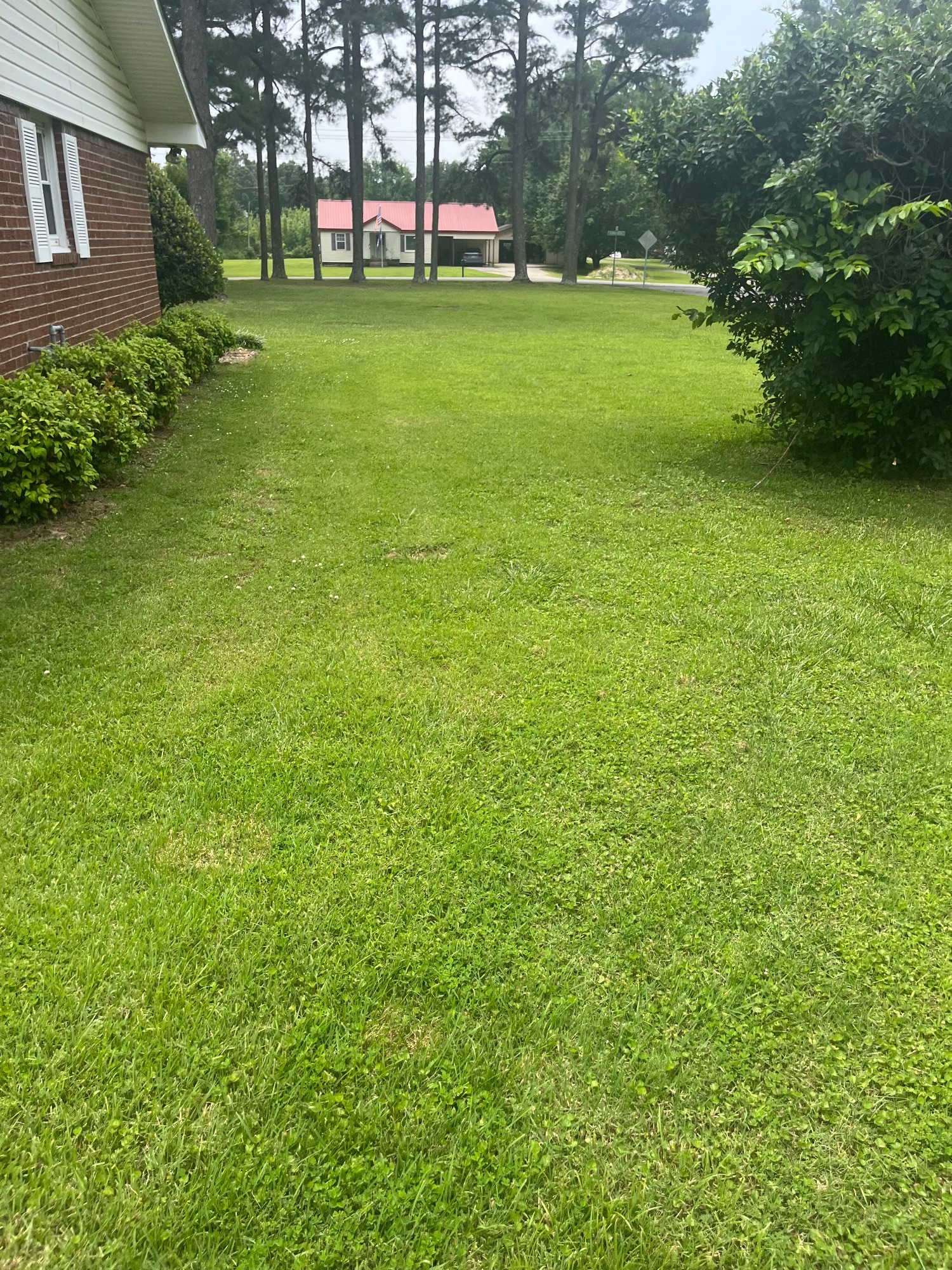 Lot image 72