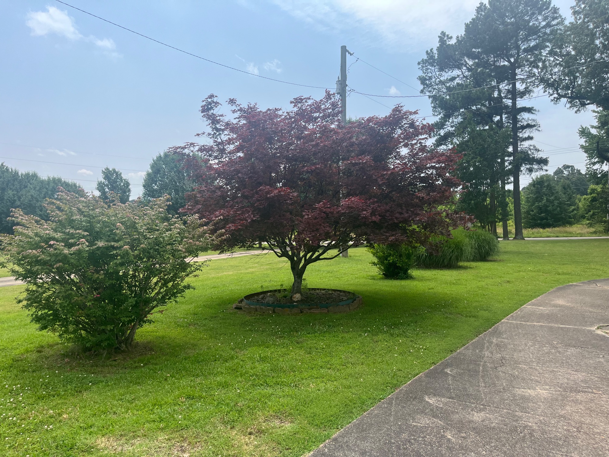Lot image 63